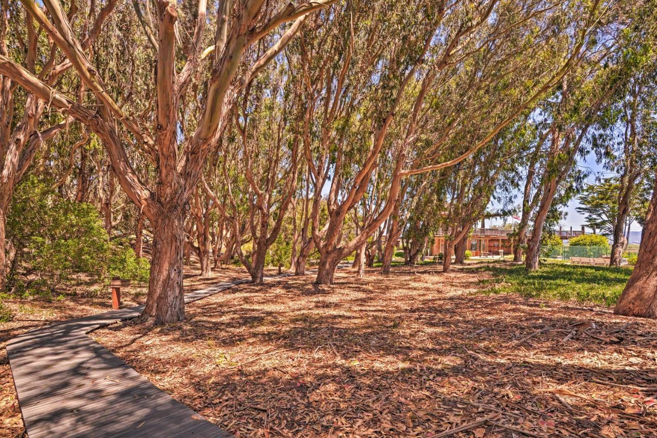 Beachfront Condo With Monterey Bay Views! Watsonville Exteriér fotografie